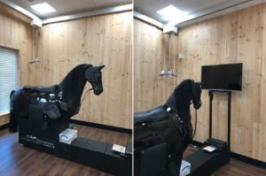 horse riding simulator near me